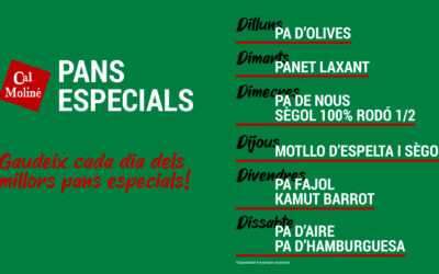 Els millors pans especials